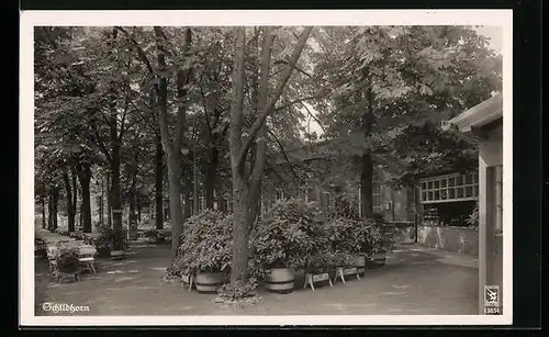 AK Berlin-Grunewald, Gasthaus Schildhorn