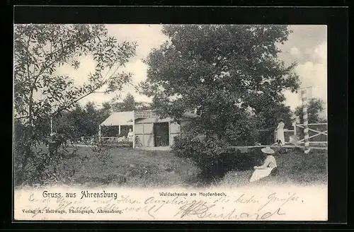 AK Ahrensburg, Gasthof zur Waldschenke am Hopfenbach