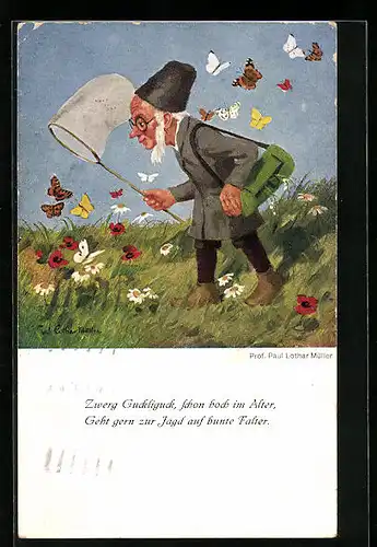 Künstler-AK Paul Lothar Müller: Zwerg Guckliguck fängt Schmetterlinge
