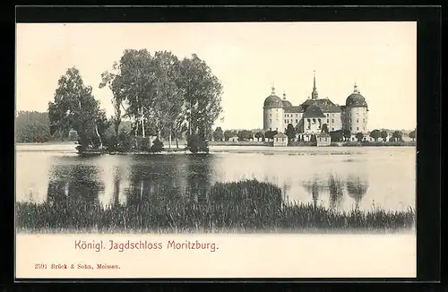 AK Königliches Jagdschloss Moritzburg