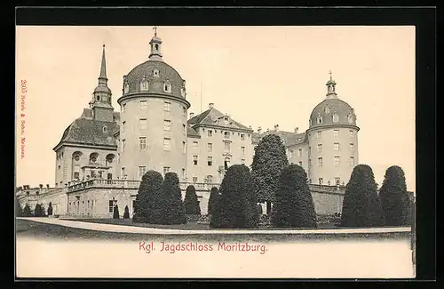 AK Königliches Jagdschloss Moritzburg