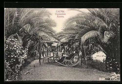 AK Gagra, Gemütliche Ecke im Palmengarten