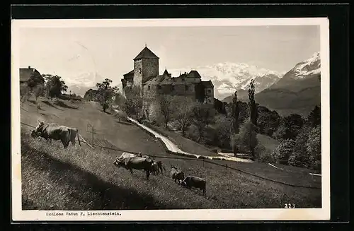AK Vaduz, Schloss Vaduz mit Landstrasse