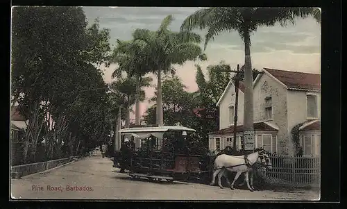 AK Barbados, Pine Road, Pferdebahn in einer Wohngegend