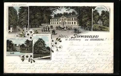 Lithographie Ascheberg, Schloss, Riesen-Kastanie, Hotel Schwiddeldei W. Stoltenberg