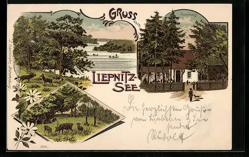 Lithographie Wandlitz, Gasthof Forsthaus am Liebnitzsee, Rotwild