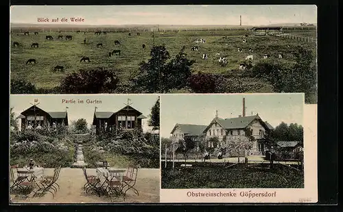 AK Göppersdorf, Gasthaus Obstweinschenke, Blick auf die Weide, Partie im Garten