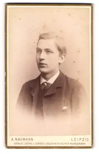 Fotografie Alfred Naumann, Leipzig, Dorotheenstrasse, Junger blonder Mann mit Hemd und Krawatte