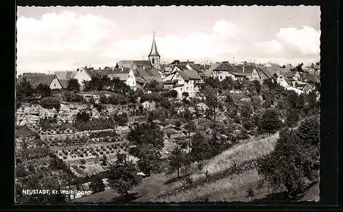 AK Neustadt /Kreis Waiblingen, Teilansicht mit Gärten