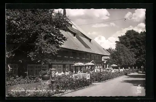 AK Hinterzarten /Schwarzwald, Hotel Adler