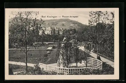 AK Bad Kissingen, Rosen-Anlagen im Sonnenschein