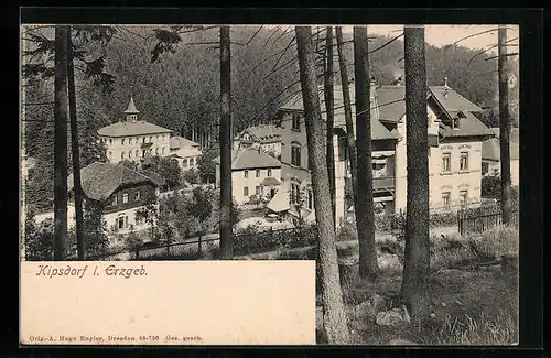 AK Kipsdorf i. Erzgeb., Ortspartie mit Häusern