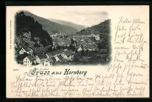 AK Hornberg, Ortsansicht aus der Vogelschau
