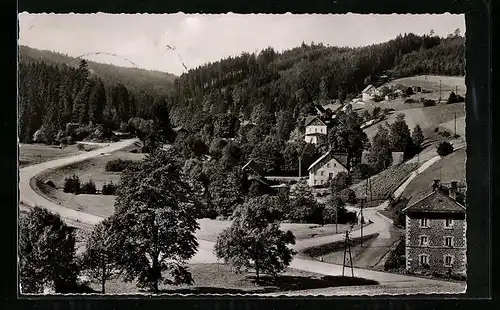 AK Bischofsgrün /Fichtelgebirge, Partie im Maintal mit Glasermühle