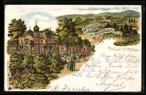 Lithographie Erfurt, Panorama vom Gasthaus Waldhaus aus gesehen