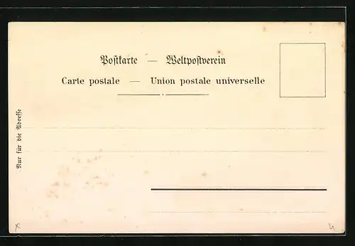 Lithographie Donaueschingen, Aussicht vom Schellenberg, Hotel & Soolbad zum Schützen