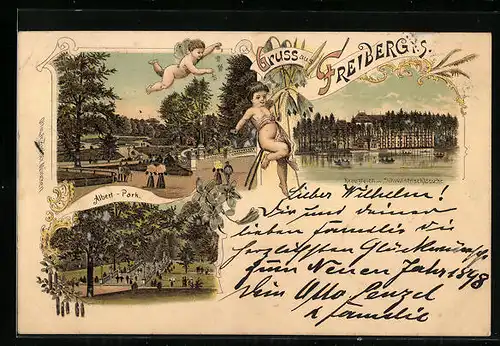 Lithographie Freiberg /Sa., Anlagen im Albert-Park, Kreuzteich mit Schwanenschlösschen