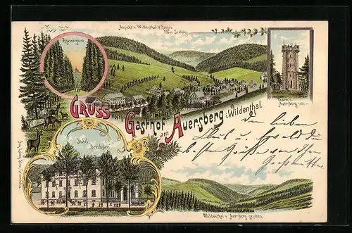 Lithographie Wildenthal, Hotel Drechsler, Gasthof am Auersberg mit Umgebung