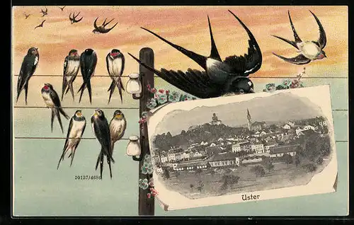 Präge-AK Uster, Teilansicht, Schwalben am Telegraphenmast, Passepartout
