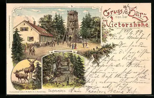 Lithographie Gernrode, Gruss von der Victorshöhe mit Teufelsmühle