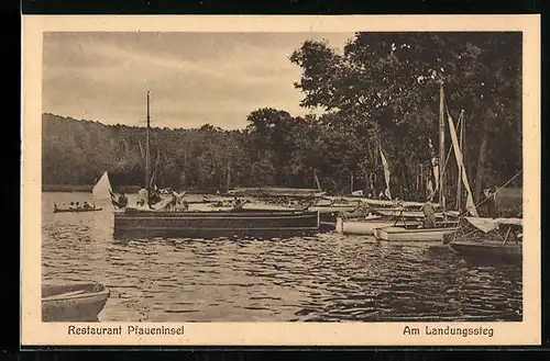 AK Berlin-Wannsee, Pfaueninsel, Landungssteg