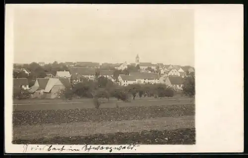 AK Griesbach / Schwarzwald, Ortsansicht mit Kirche