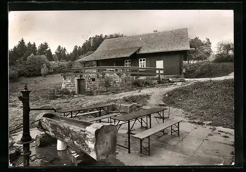 AK Wildbad / Schwarzwald, Waldraststätte Grünhütte