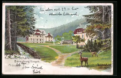 Lithographie Bärenburg I./Erzgeb., Kurhaus Schäfermühle
