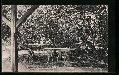 AK Westerland a. Sylt, Partie aus dem Friesenhain