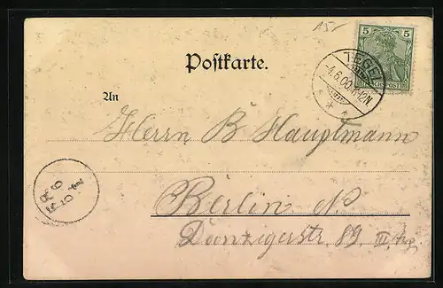 AK Berlin, Schloss Tegel