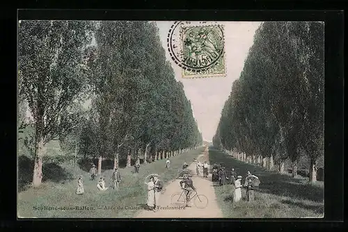 AK Souligné-sous-Ballon, Allee du Chateau de la Freslonniere