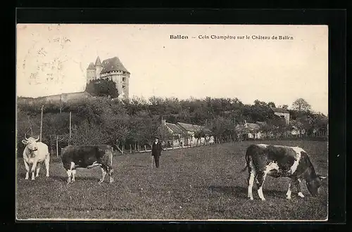 AK Ballon, Coin Champetre sur la Chateau de Ballon