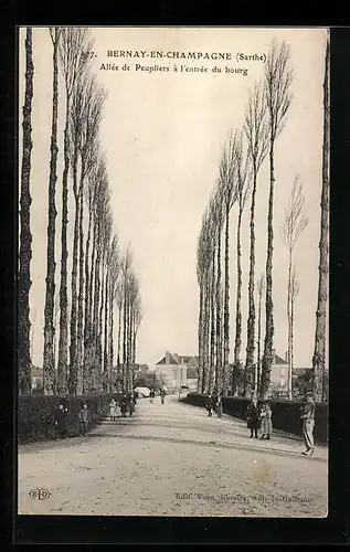 AK Bernay-en-Champagne, Allée du Peupliers à l`entrée du bourg