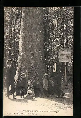 AK Foret de Bercé, Chene Boppe