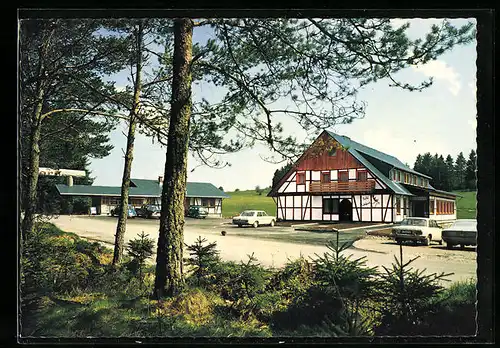 AK Löffingen /Schwarzwald, Wildfreigehege mit Hotel-Café Wildpark