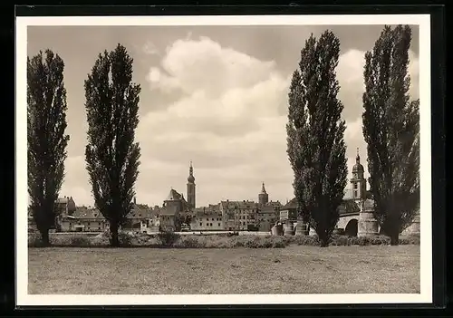 AK Kitzingen am Main, Blick von Etwashausen gegen die Stadt