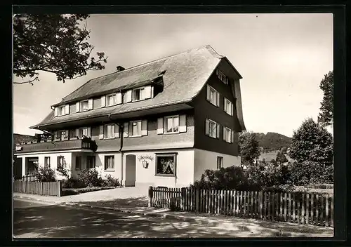 AK Hinterzarten /Schwarzwald, Haus Silberdistel, Fremdenheim, Inh. O. Schwär