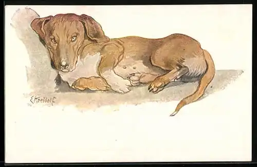Künstler-AK Ernst Kreidolf: Der sinnende Dackel