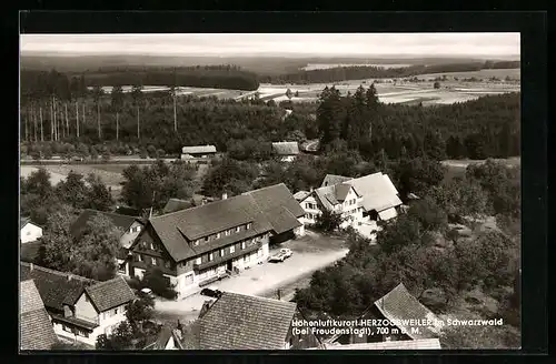 AK Herzogsweiler / Schwarzwald, Gasthof und Pension zum Hirsch