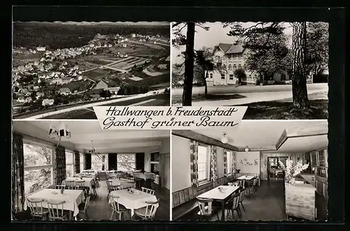 AK Hallwangen / Schwarzwald, Ortsansicht, Gasthof und Pension grüner Baum