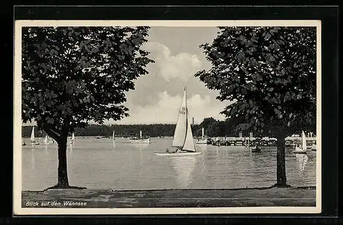 AK Berlin-Wannsee, Dampfer und Segelboote auf dem Wannsee