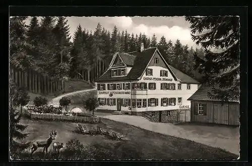 AK Freudenstadt / Schwarzwald, Gasthof und Pension Steinwald