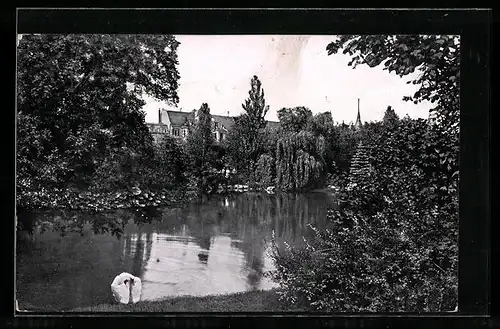 AK Posen, Botanischer Garten