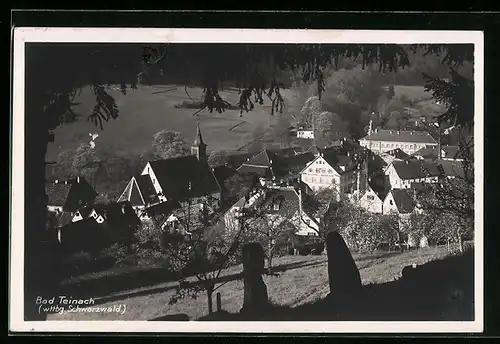 AK Bad Teinach /Schwarzw., Ortsansicht aus der Vogelschau