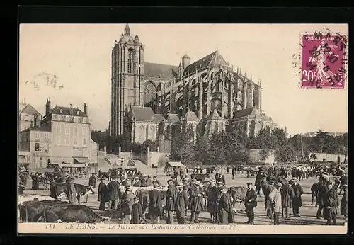 AK Le Mans, Le Marché aux Bestiaux et la Carthedrale