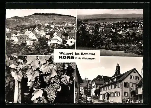 AK Korb /Kreis Waiblingen, Ortsansicht mit Umgebung
