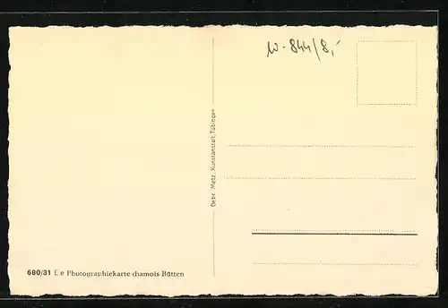 AK Straubing, Theresienplatz mit Kirche