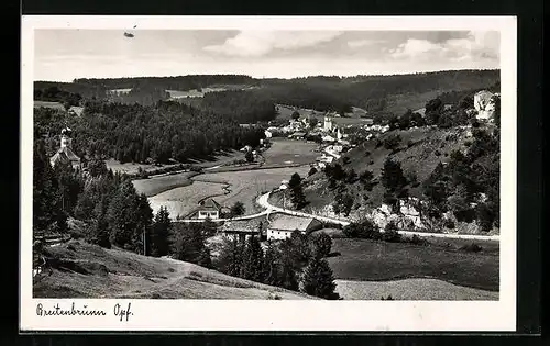 AK Breitenbrunn /Opf., Ortsansicht mit Umland