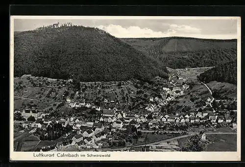 AK Calmbach im Schwarzwald, Ortsansicht mit Wald