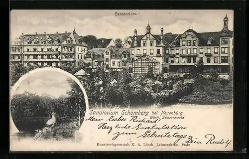 AK Schömberg bei Neuenbürg, Blick auf das Sanatorium